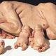 Illustration for article titled Scientist Explains Why We Eat Like Pigs and Pick Our Noses Like Monkeys.